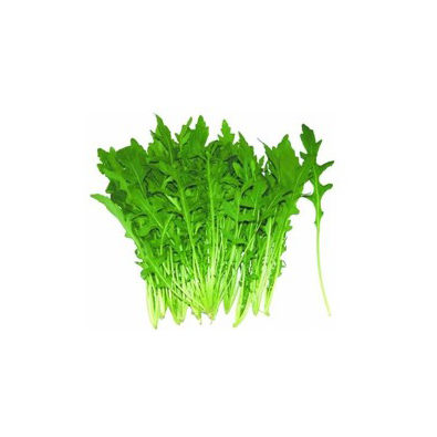 Arugula